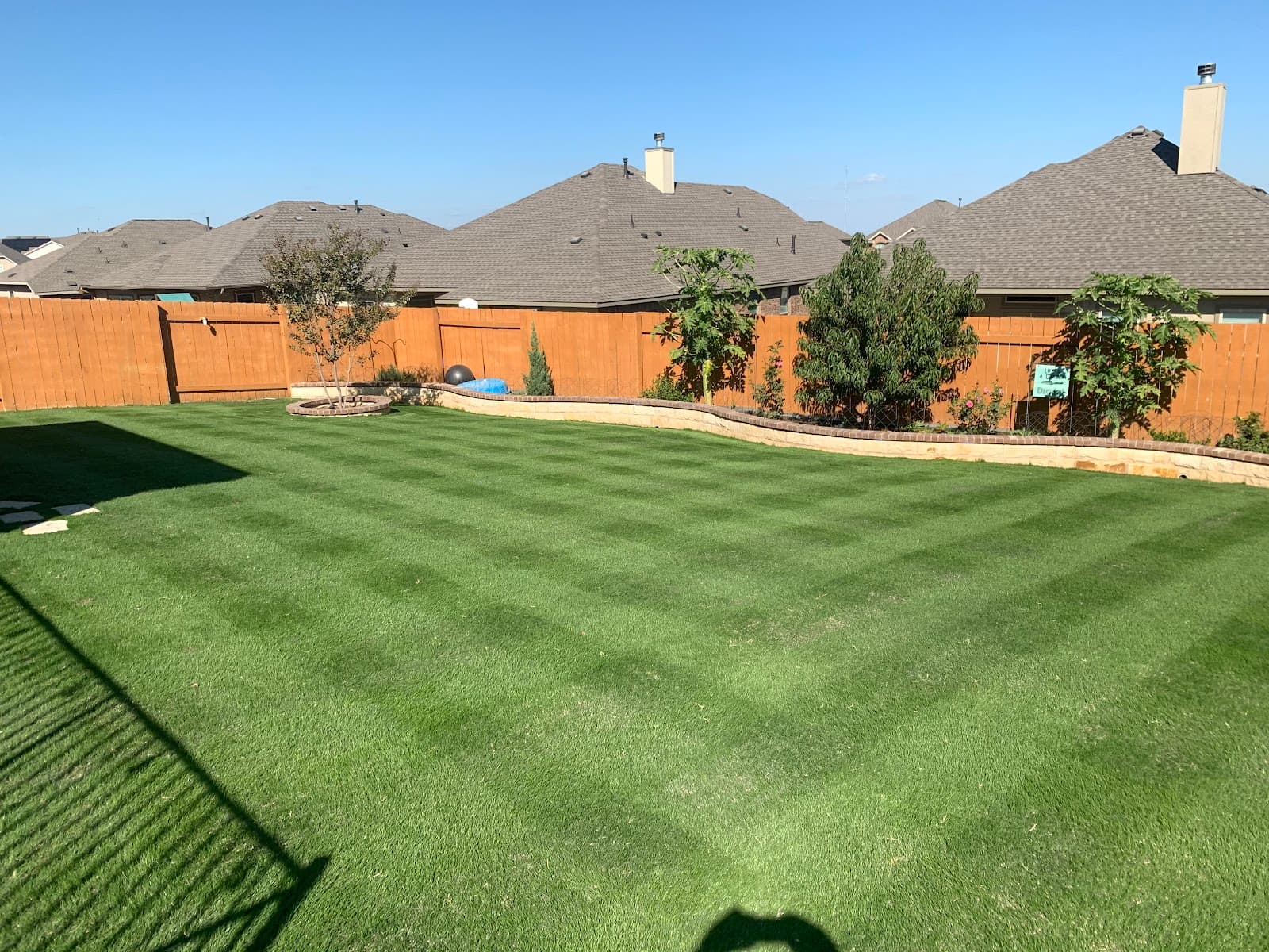 Georgetown Lawn Leveling