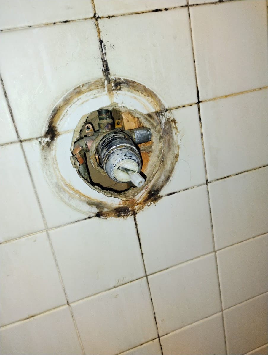 Lee Whiteaker Plumbing