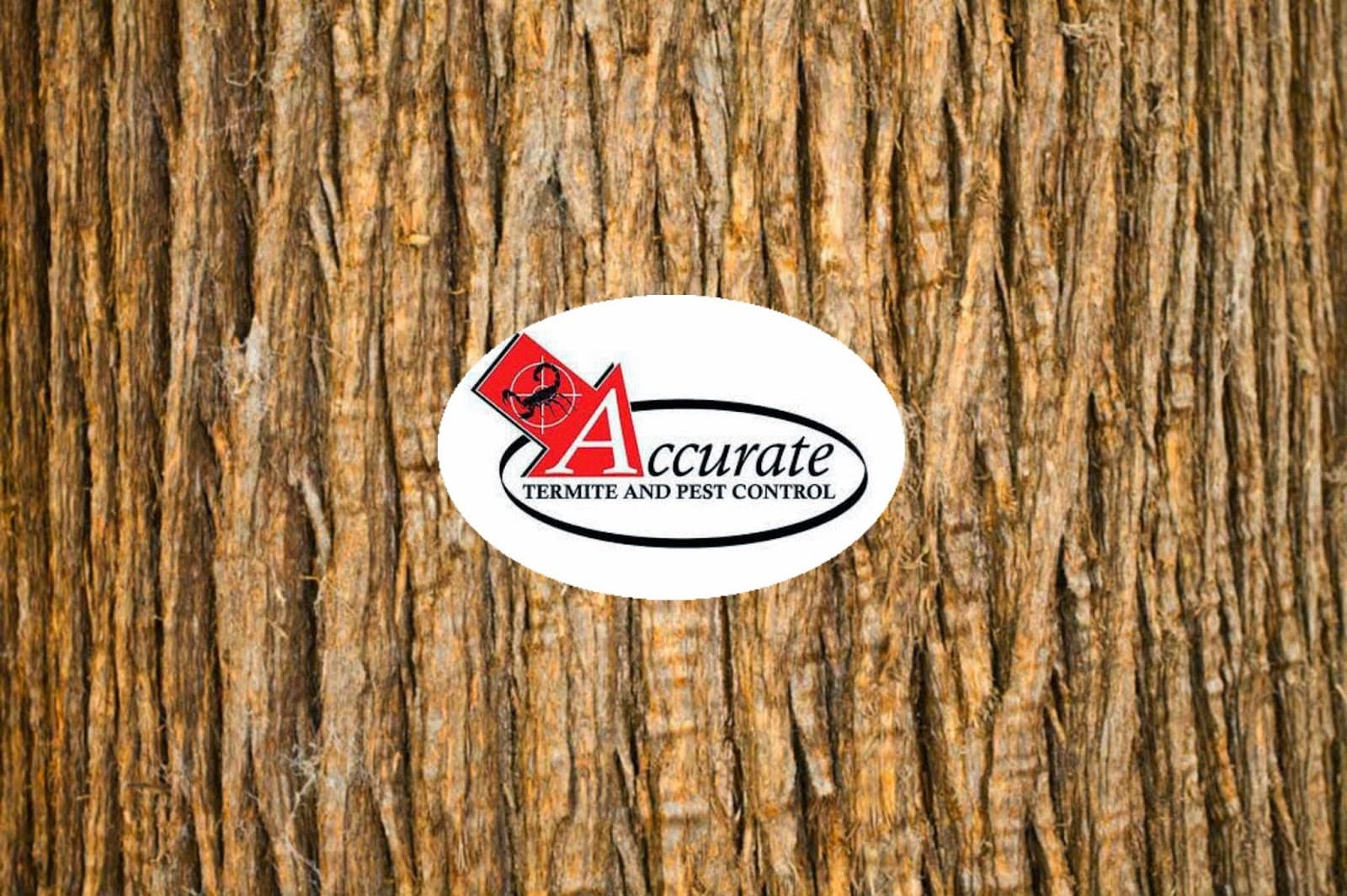 Accurate Termite and Pest Control