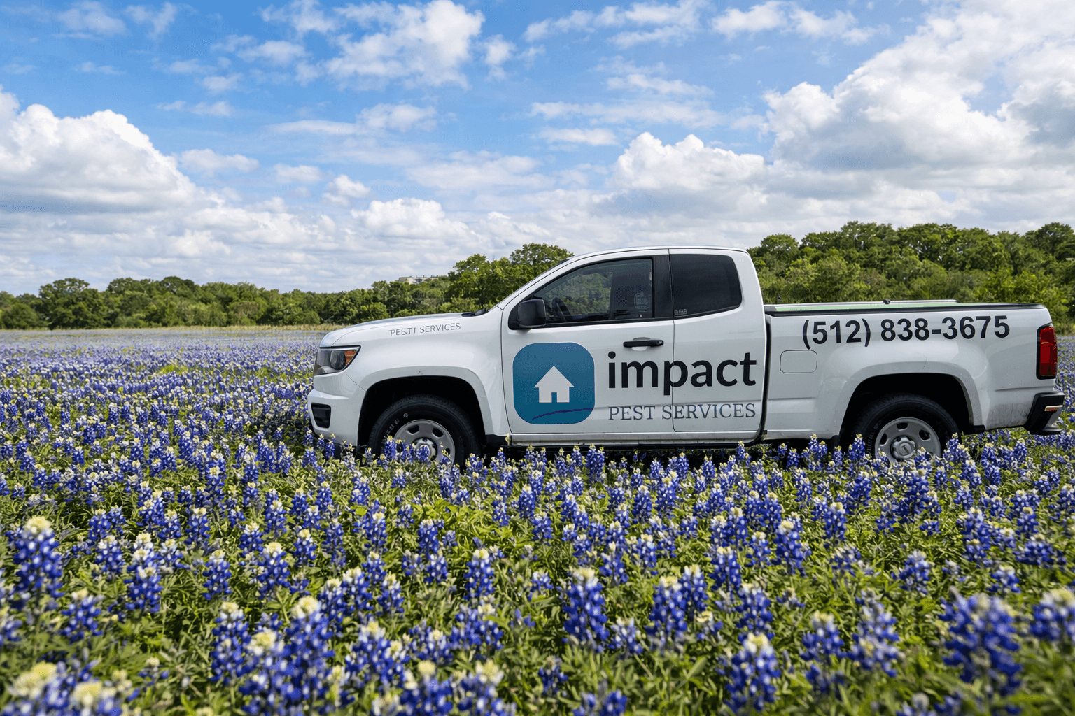 Impact Pest Services - Pest Control in Pflugerville, TX